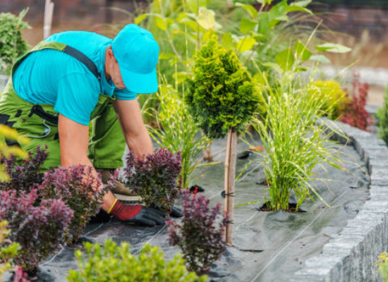 WorkQuote App for Landscapers in the Landscaping Service Industry